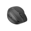 Natec Vertical Mouse Crake 2  BLUETOOTH 5.2 + 2.4GHZ BLACK 2400dpi, Left handed, black