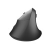 Natec Vertical Mouse Crake 2  BLUETOOTH 5.2 + 2.4GHZ BLACK 2400dpi, Left handed, black