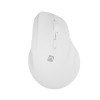 Natec Vertical Mouse Crake 2 Wireless, 2400DPI Bluetooth 5.2 + 2.4 GHz White