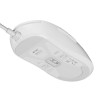 Fury Gaming Mouse Tanto T4 12000DPI Optical With Software RGB Backlight White