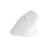 Natec Vertical Mouse Crake 2 Wireless, 2400DPI Bluetooth 5.2 + 2.4 GHz White
