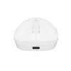 Fury Gaming Mouse Tanto T4 12000DPI Wireless With Software White