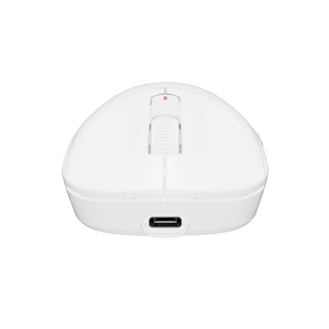Fury Gaming Mouse Tanto T4 12000DPI Wireless With Software White